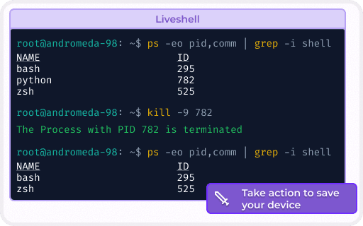 liveshell-process-overview